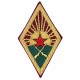 Нарукавный знак Пехоты Рабоче-Крестьянской Красной Армии, обр. 1920 г.
